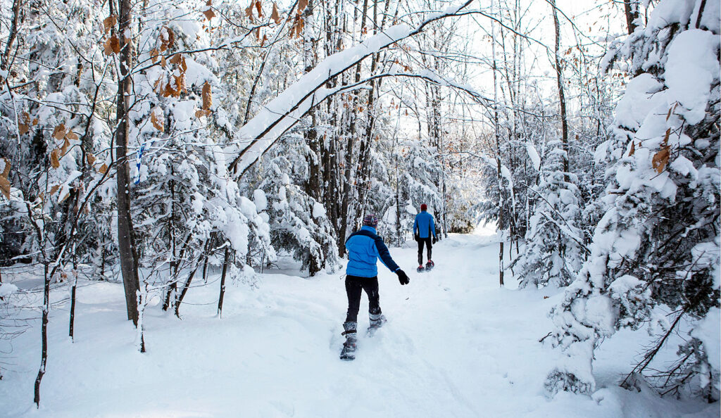 Raquetas de nieve Pirineos