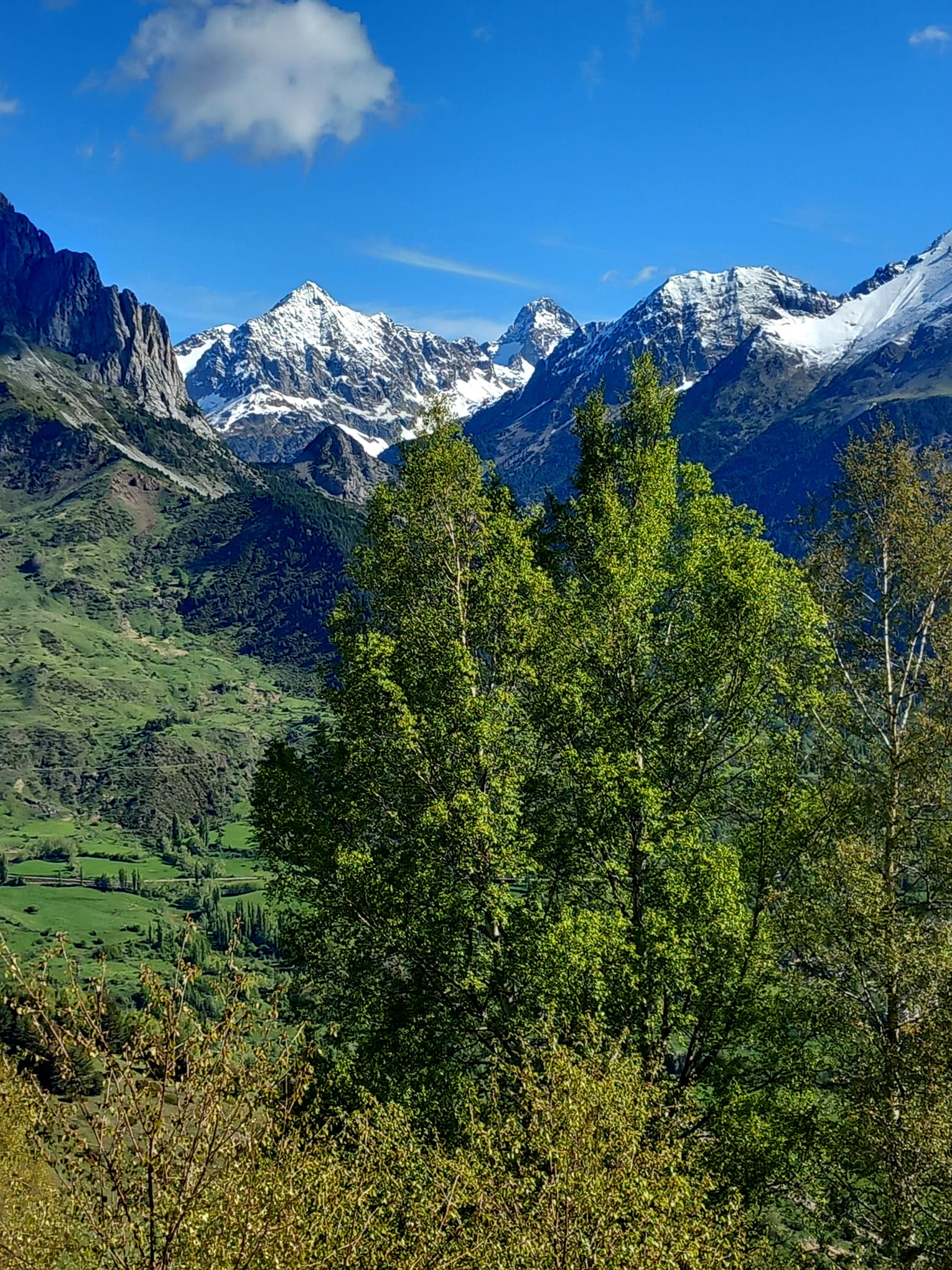  un mirador de excepción sobre tresmiles del Pirineo como el Midi, Anayet, Peña Telera...<br />
