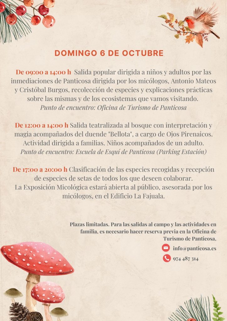 El primer fin de semana de octubre, Panticosa celebrará la duodécima edición de sus jornadas micológicas. Una cita imprescindible que se desarrolla con el objetivo de impulsar la divulgación de esta actividad que permite disfrutar de paseos por los bosques en otoño y, al mismo tiempo, recolectar las deliciosas setas.