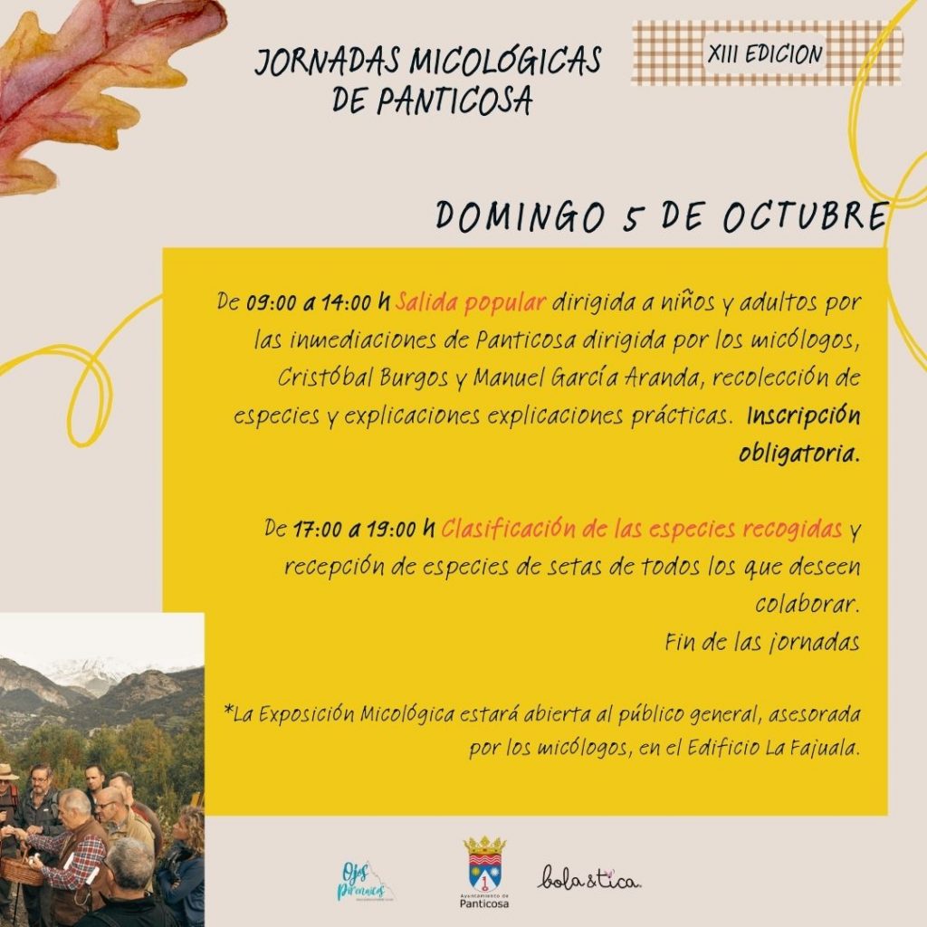 Los días 4 y 5 de octubre de 2025, Panticosa acoge la XIII edición de las Jornadas Micológicas, 
