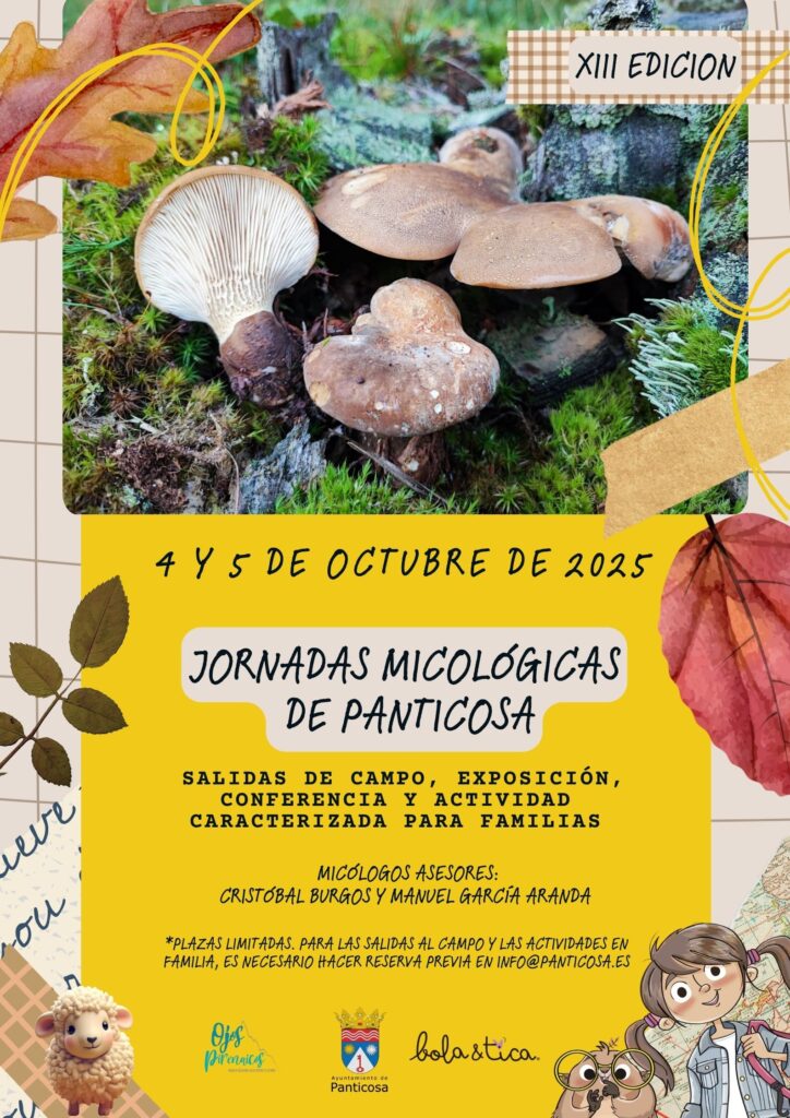 Los días 4 y 5 de octubre de 2025, Panticosa acoge la XIII edición de las Jornadas Micológicas, 